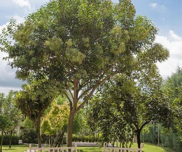 Il Refolo ベッド・アンド・ブレックファスト